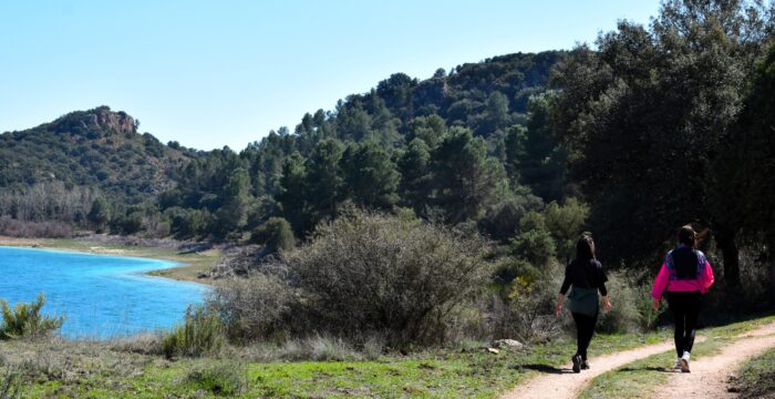 "Tras los mugidos del Avetoro" - Imagen 2
